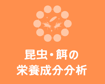 昆虫・餌の栄養成分分析